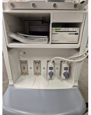 GE Healthcare  Voluson E6